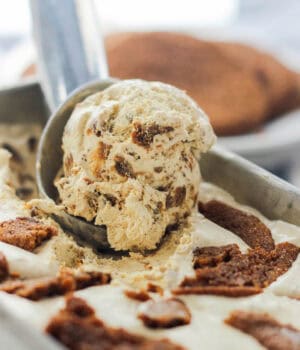 closeup of an ice cream scoop being used to scoop molasses cookie ice cream