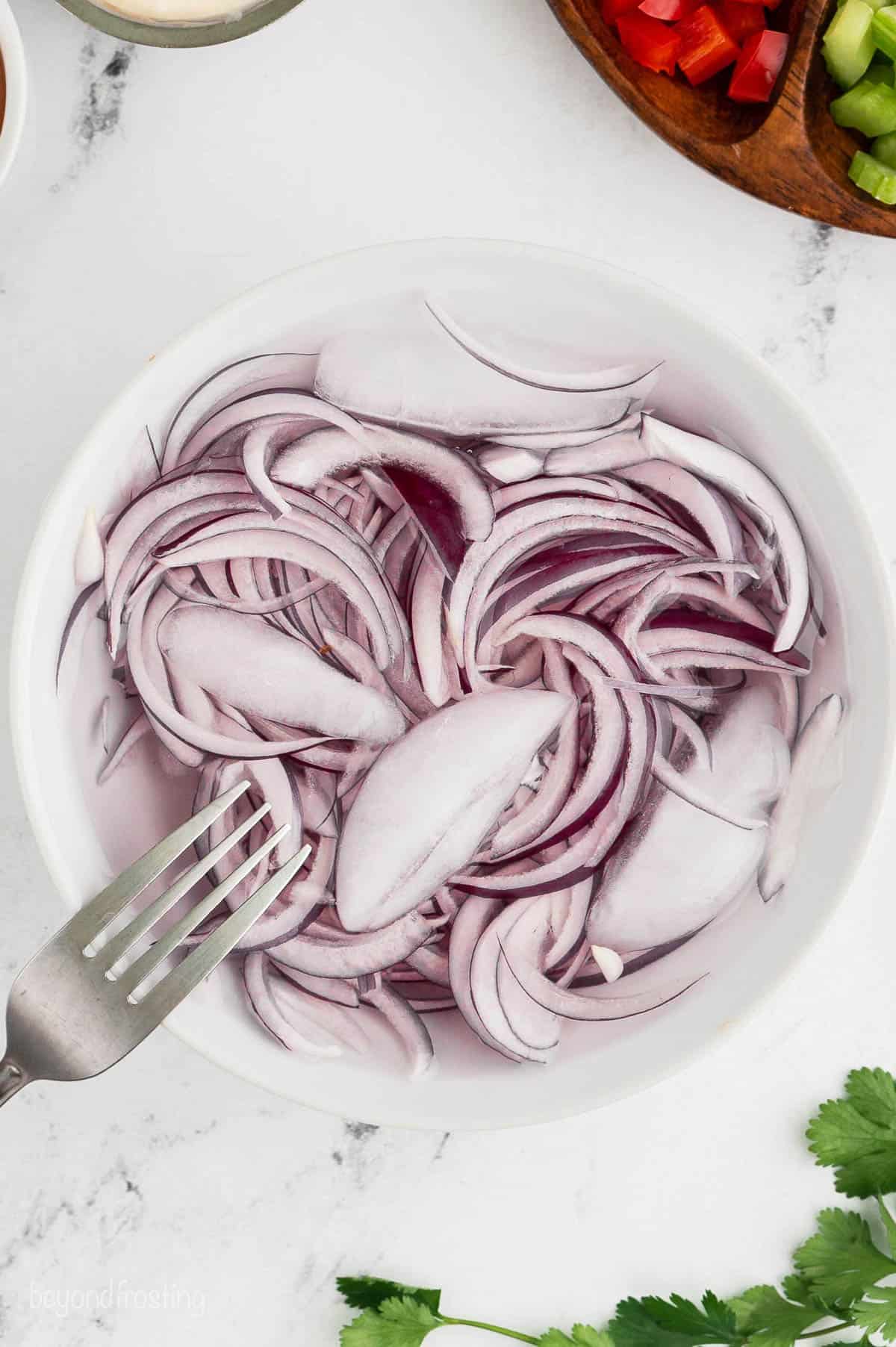 Sliced onions in water