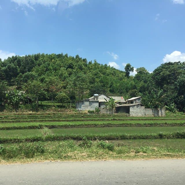 A wooden factory building next to a rice field