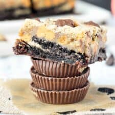Reese's Double Brookies (Guest Post)