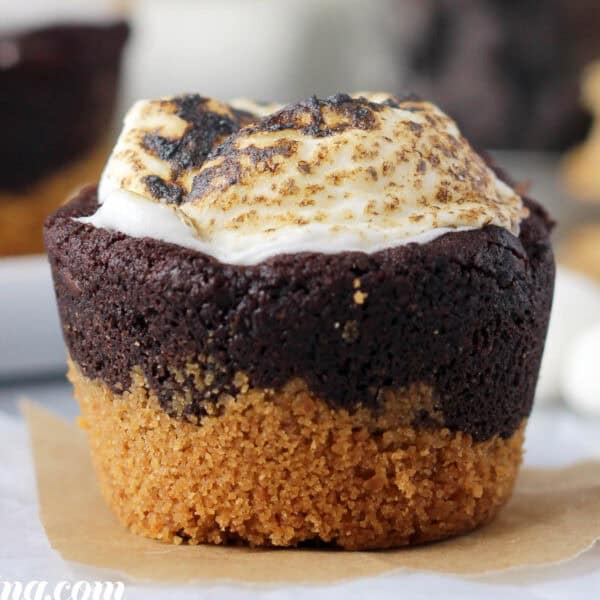 closeup of a s'mores cookie cup