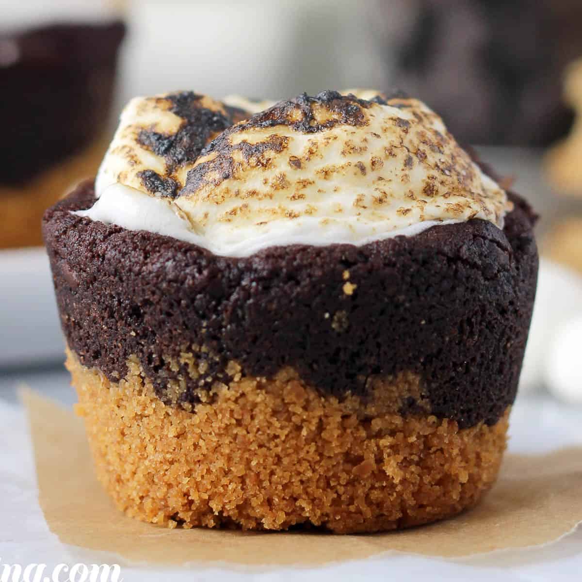 Muffin Top Pan S'mores Cookies - Cookie Madness