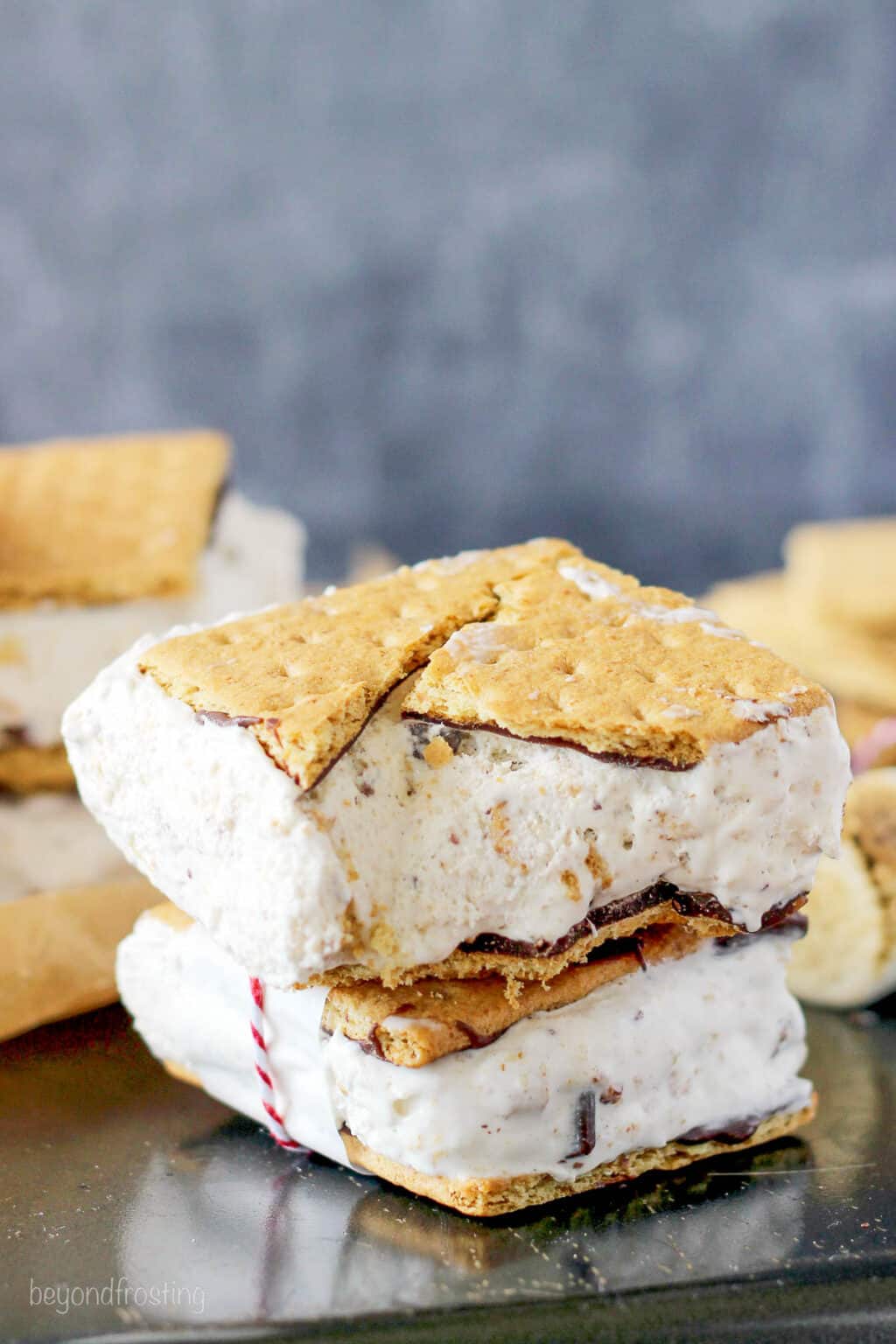 S'mores Ice Cream Sandwiches - Beyond Frosting