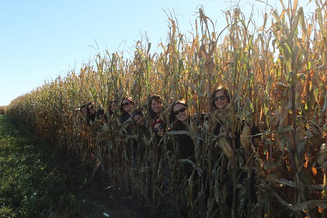 Food bloggers peeking out of corn stalks in a field