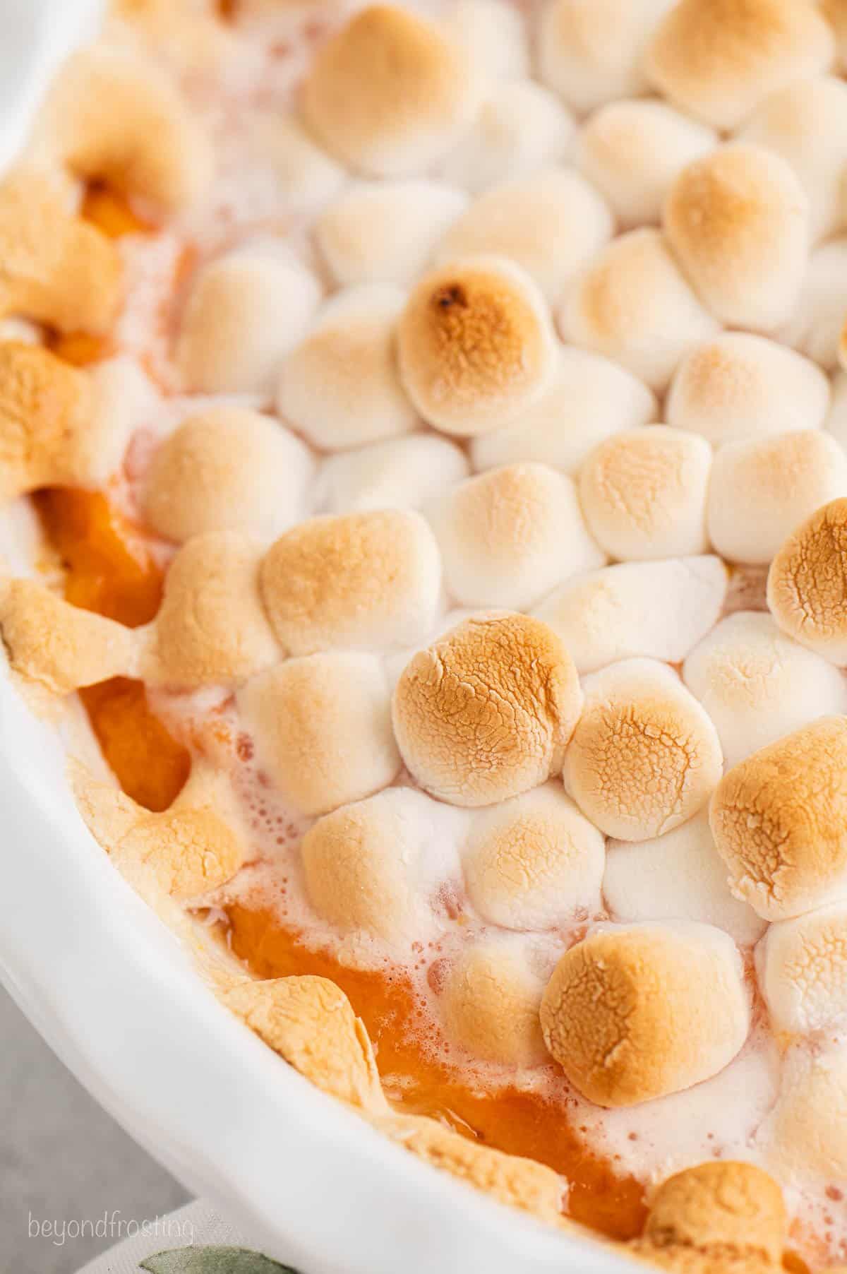 Closeup of Sweet Potato Casserole Topped with Toasted Marshmallows