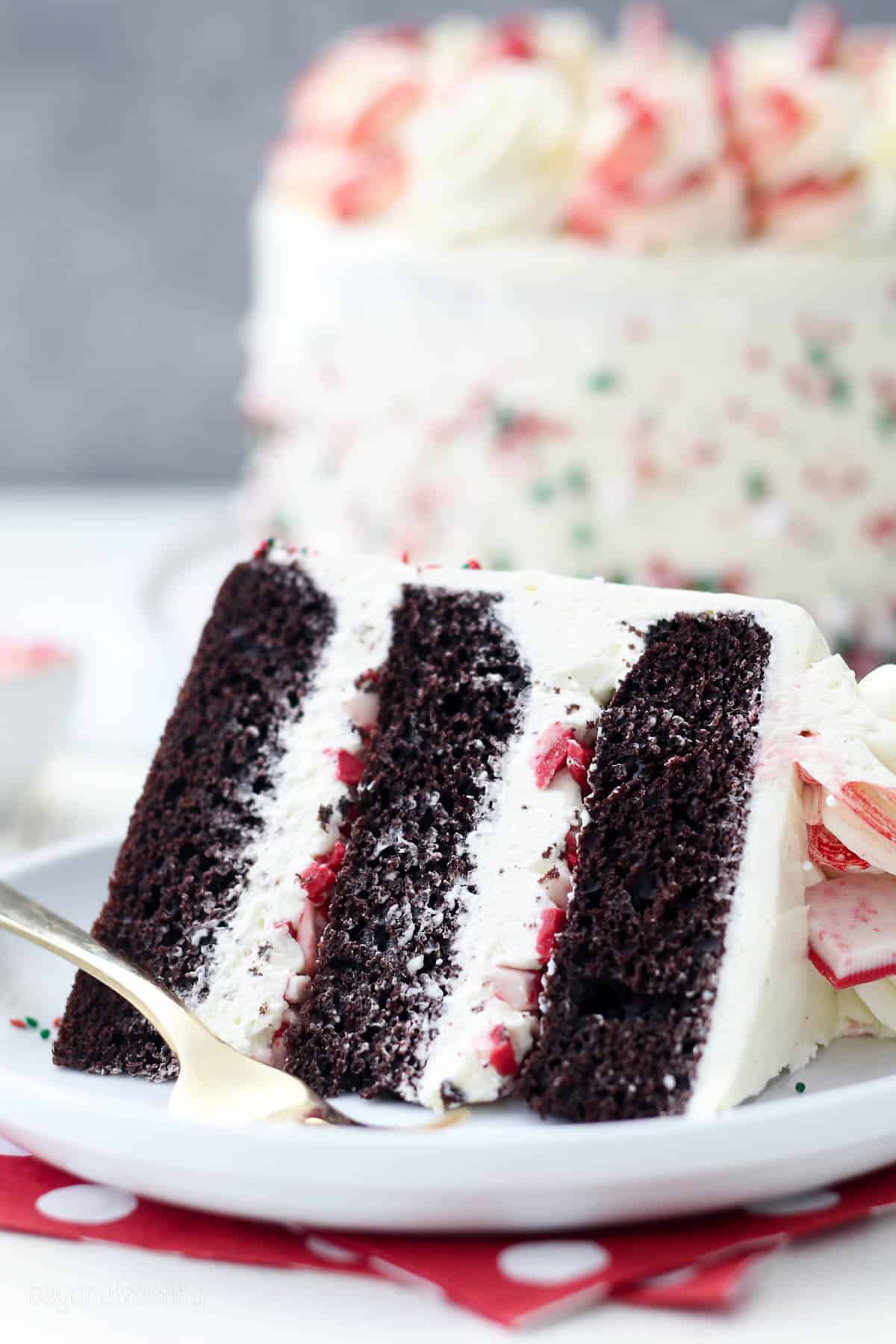 side view of a slice of chocolate peppermint cake on it's side on a white plate