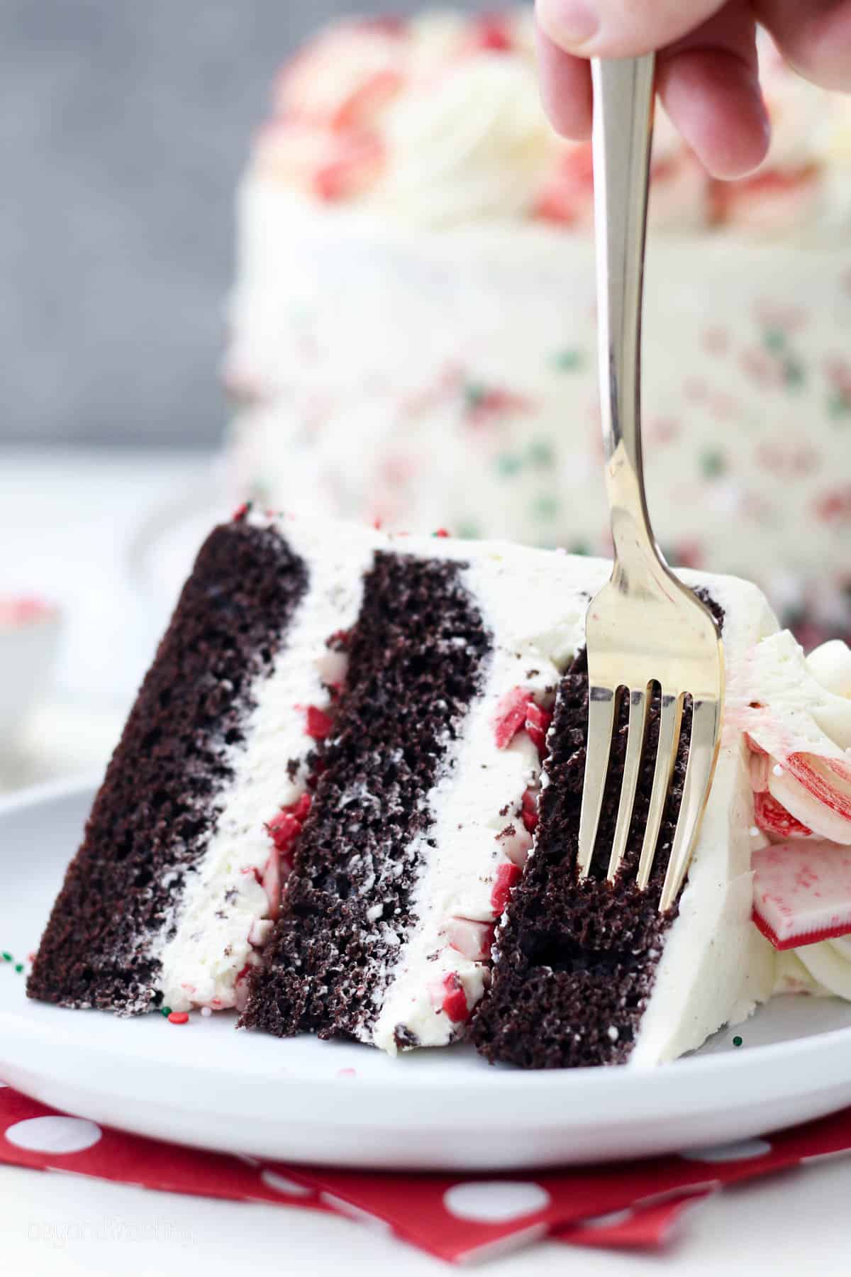 a fork being plunged into a slice of cake on a plate