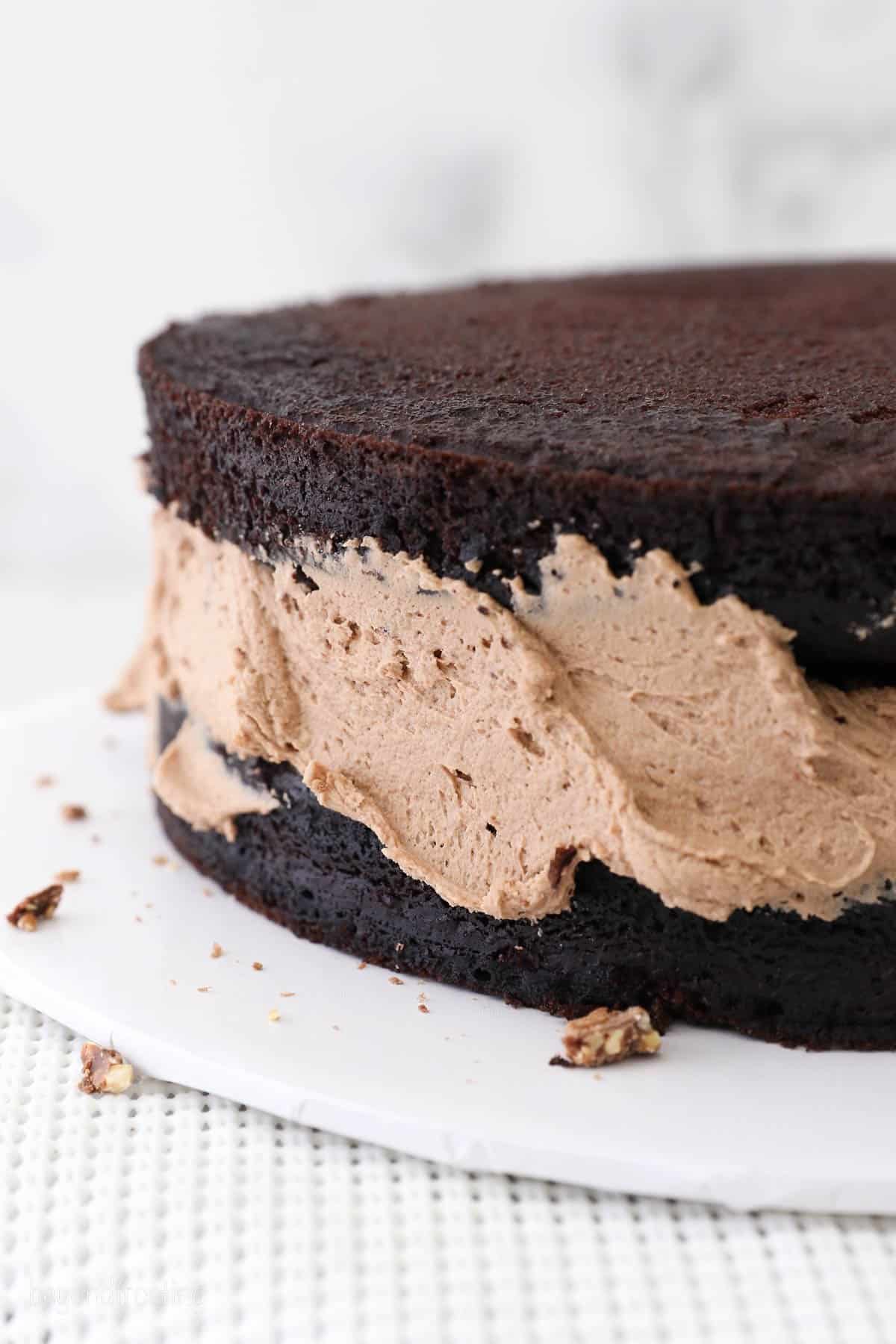 Layers of chocolate cake with Nutella frosting on sides.