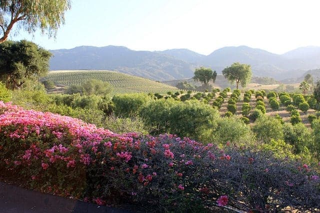 Landscape in Santa Barbara