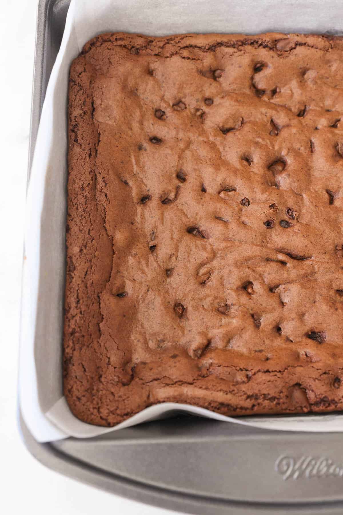 Overhead view of baked chocolate brownies in a parchment-lined pan.