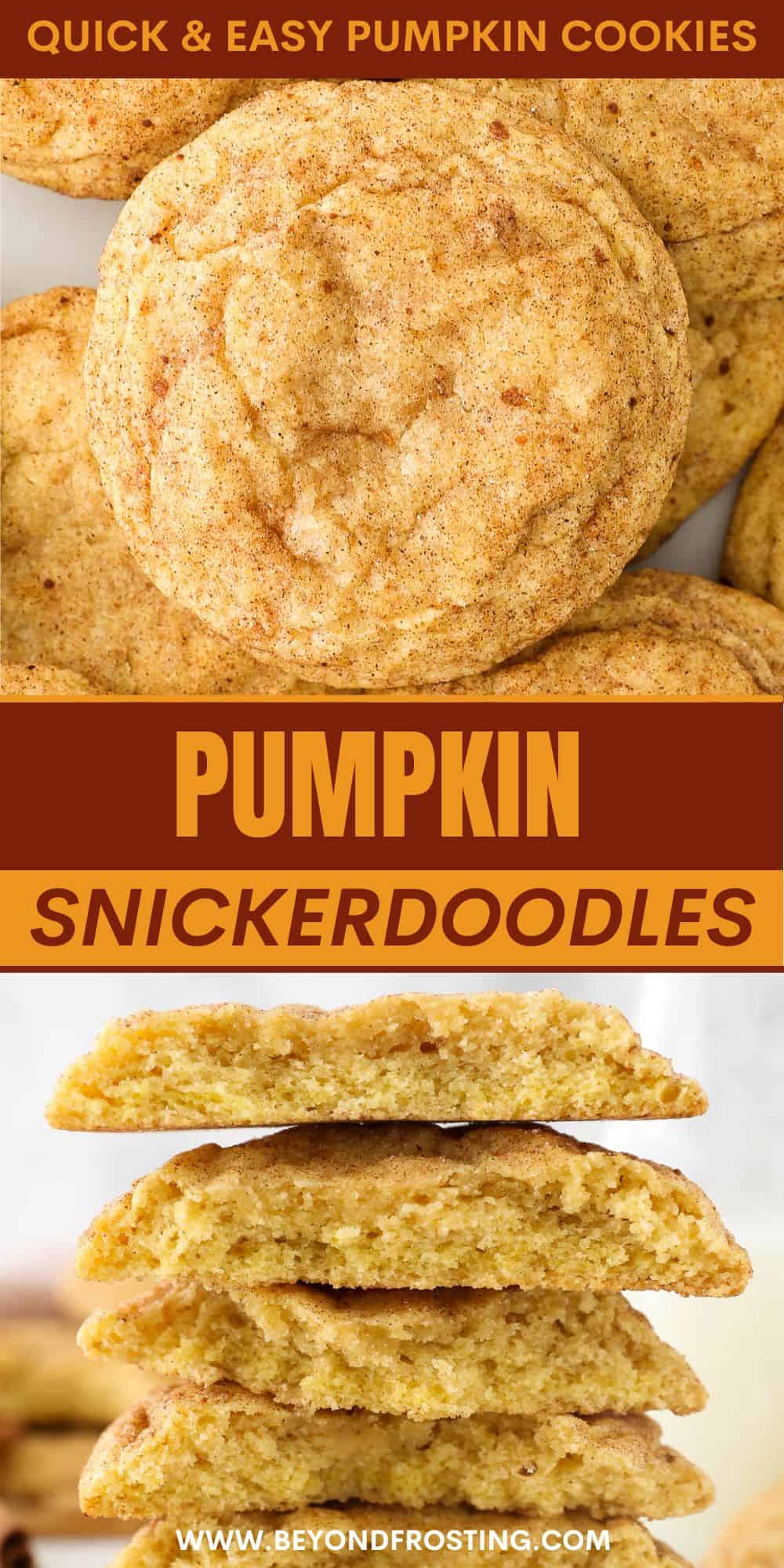 Pumpkin Snickerdoodles | Beyond Frosting