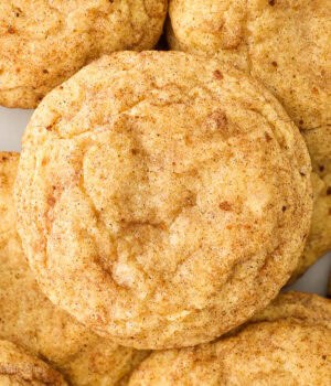 A close up of the top of a pumpkin snickerdoodle cookie