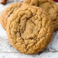 Close up of a molasses cookie.