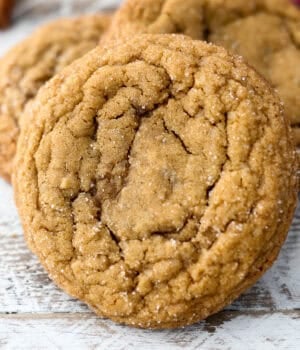 closeup of a molasses cookie