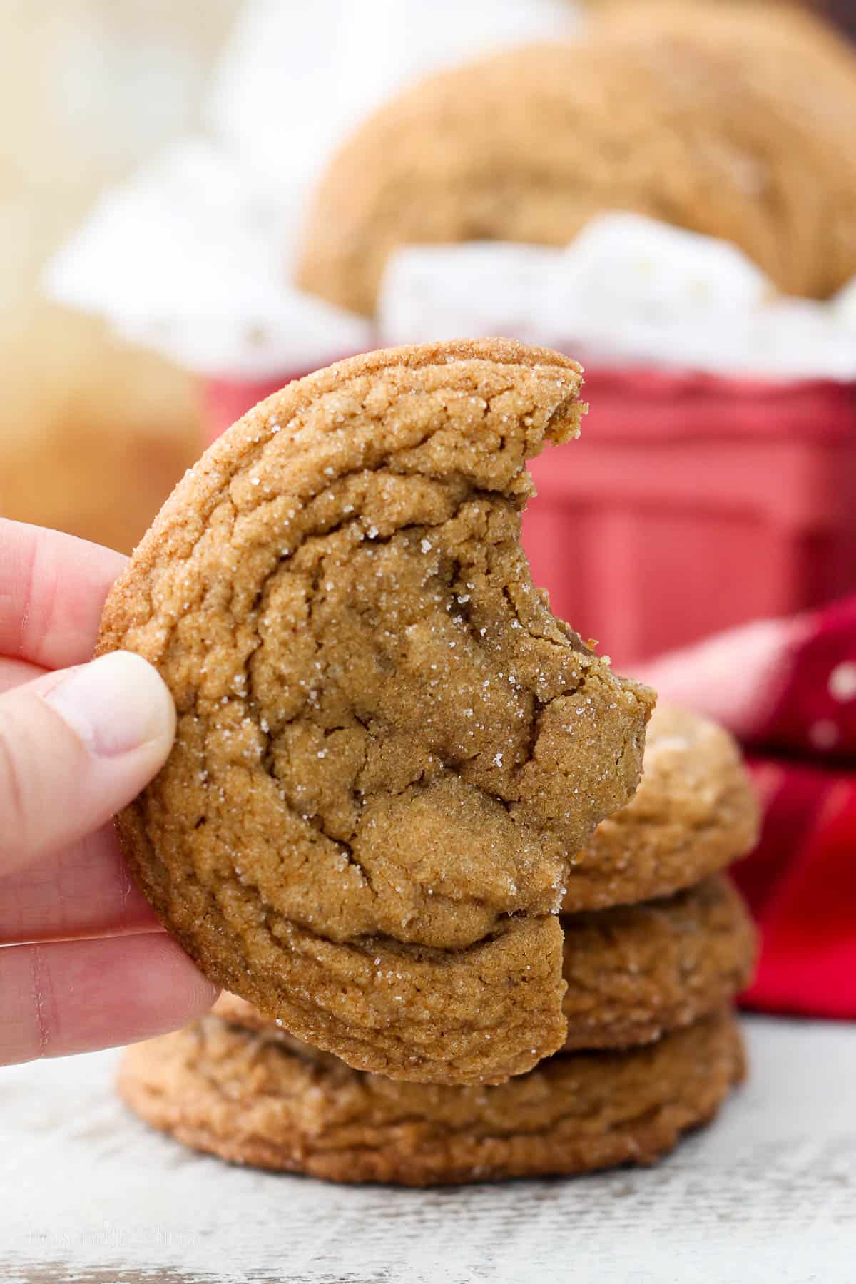 a half eaten molasses cookie held