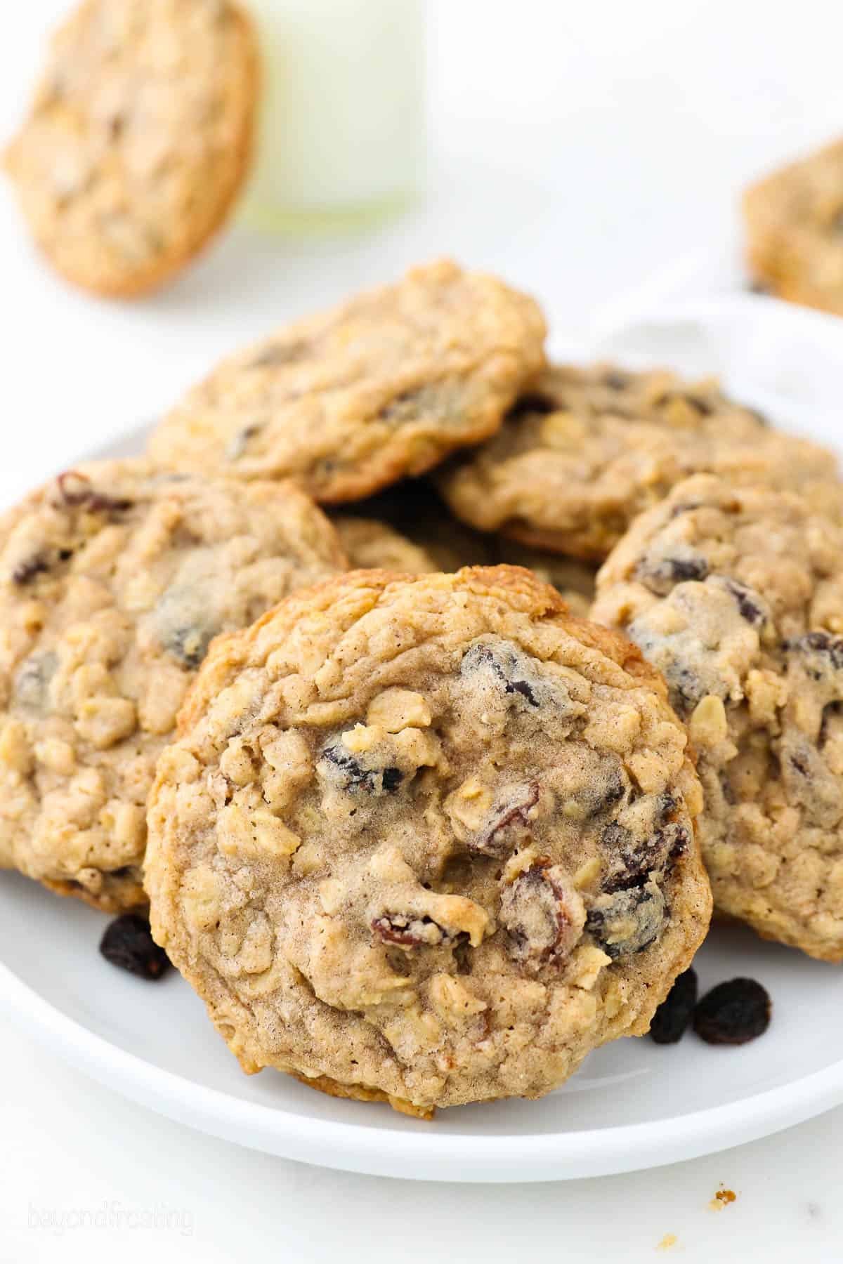 The top view of a chunky Oatmeal Raisin Cookie on na white plate