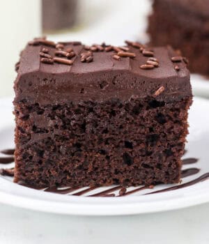 closeup of a slice of chocolate cake on a plate