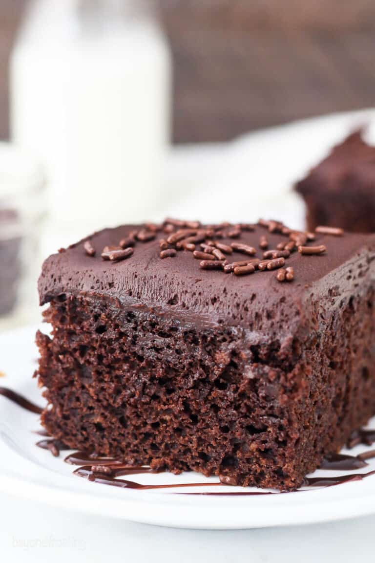 Buttermilk Chocolate Cake | Beyond Frosting