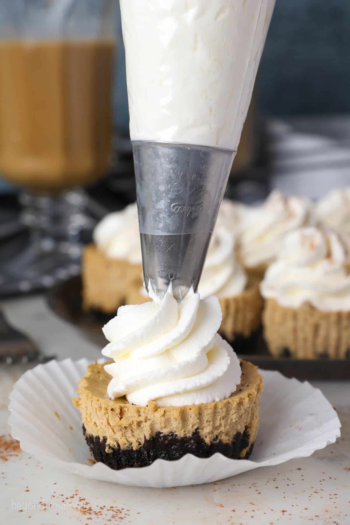 Whipped cream being piped onto the top of a mini cheesecake with Oreo crust