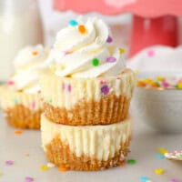 Two mini funfetti cheesecakes stacked on top of one another, with the top cheesecake decorated with a swirl of whipped cream and sprinkles.