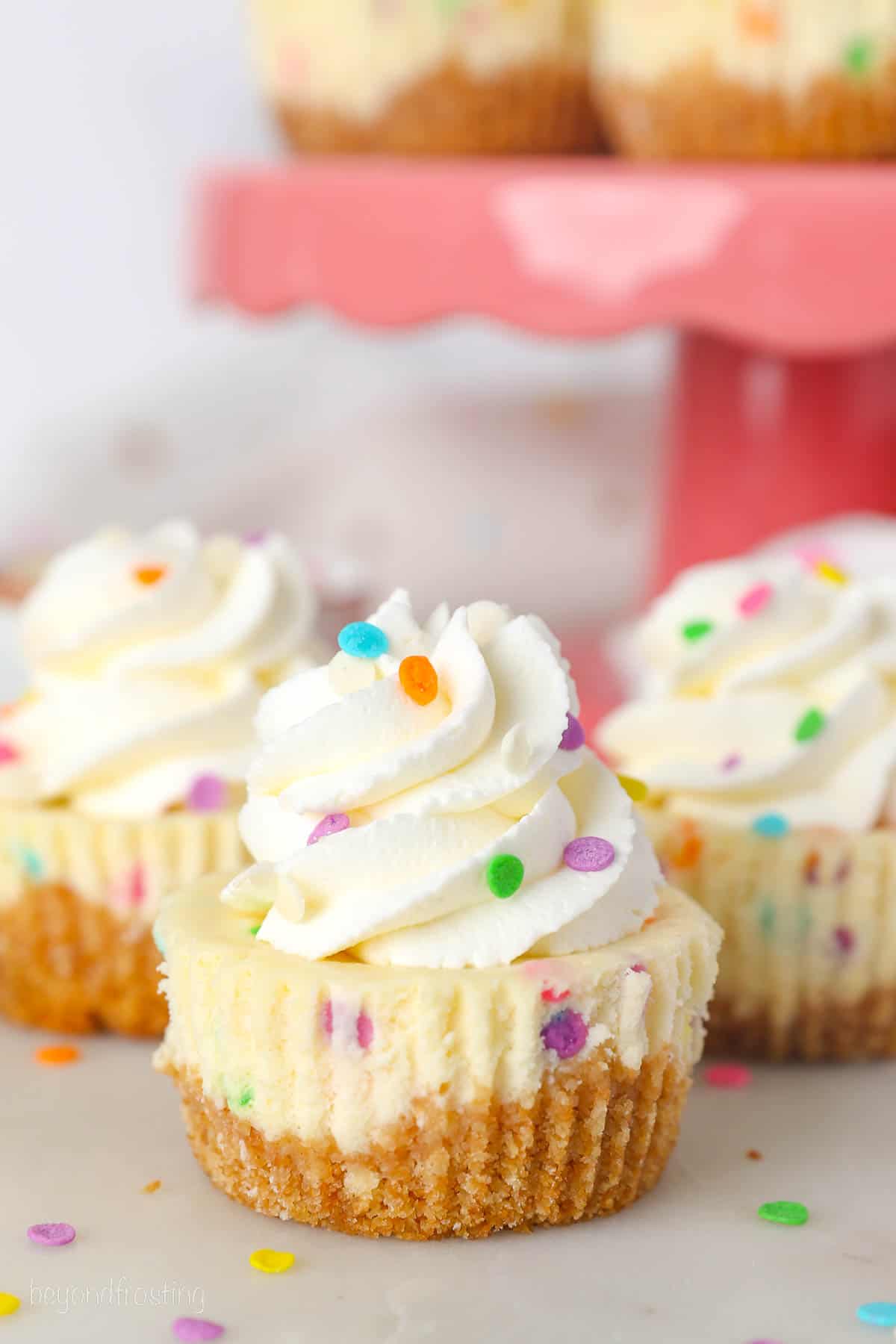 Mini funfetti cheesecakes topped with swirls of whipped cream and sprinkles, with a pink cake stand in the backgorund.