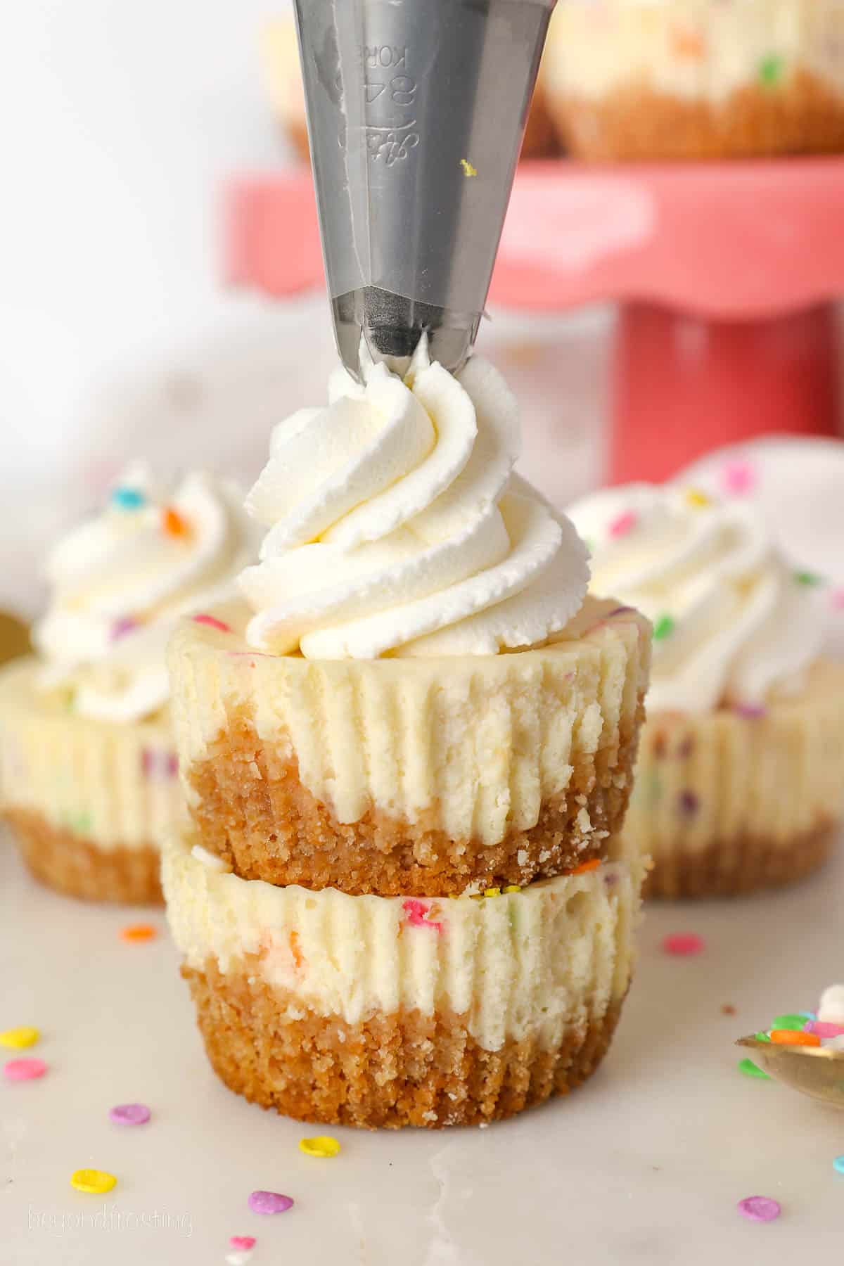 A piping tip pipes a swirl of whipped cream on top of two stacked mini funfetti cheesecakes.
