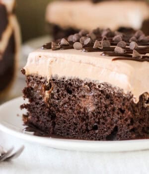 closeup side view of a slice of chocolate cake on a plate.