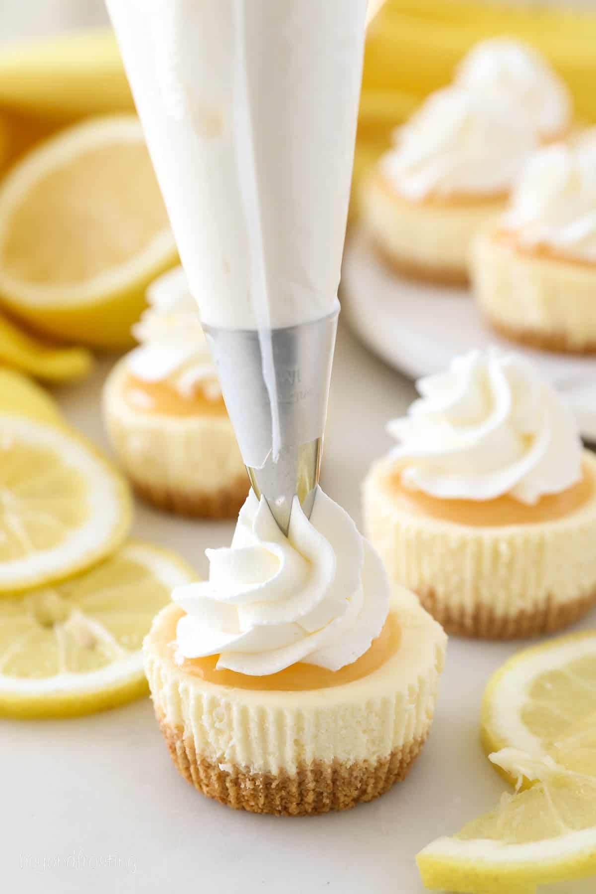 A piping bag pipes a swirl of whipped cream over top of a mini lemon cheesecake topped with lemon curd.