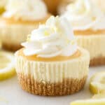A mini lemon cheesecake topped with lemon curd and a swirl of whipped cream, with more mini cheesecakes in the background.