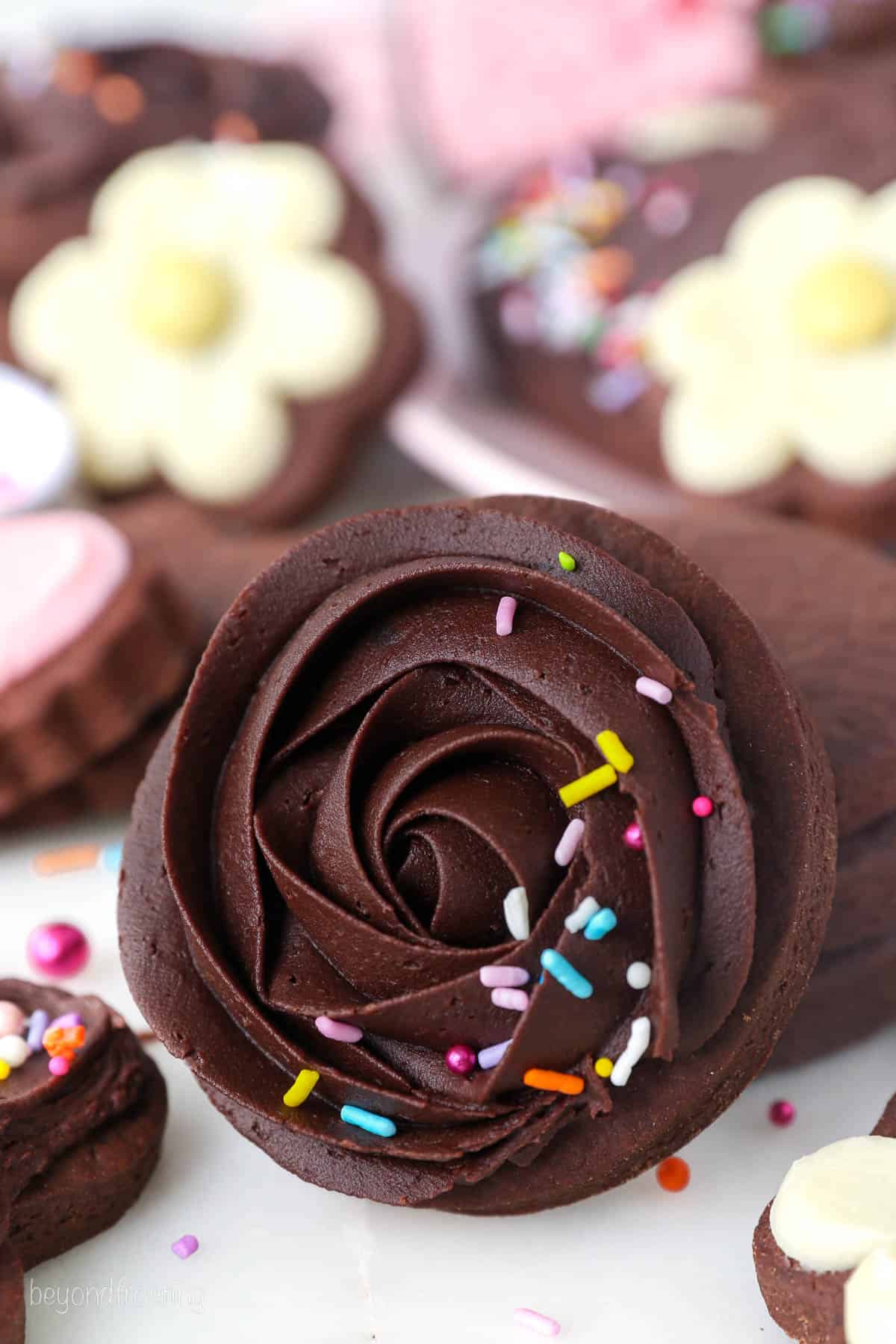 Close up of a chocolate cutout sugar cookie frosted with a swirl of chocolate frosting and sprinkles.