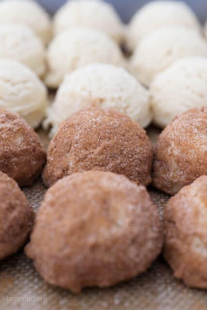 Close up of two rows of snickerdoodle dough balls coated in cinnamon sugar, with more rows of dough in the background.
