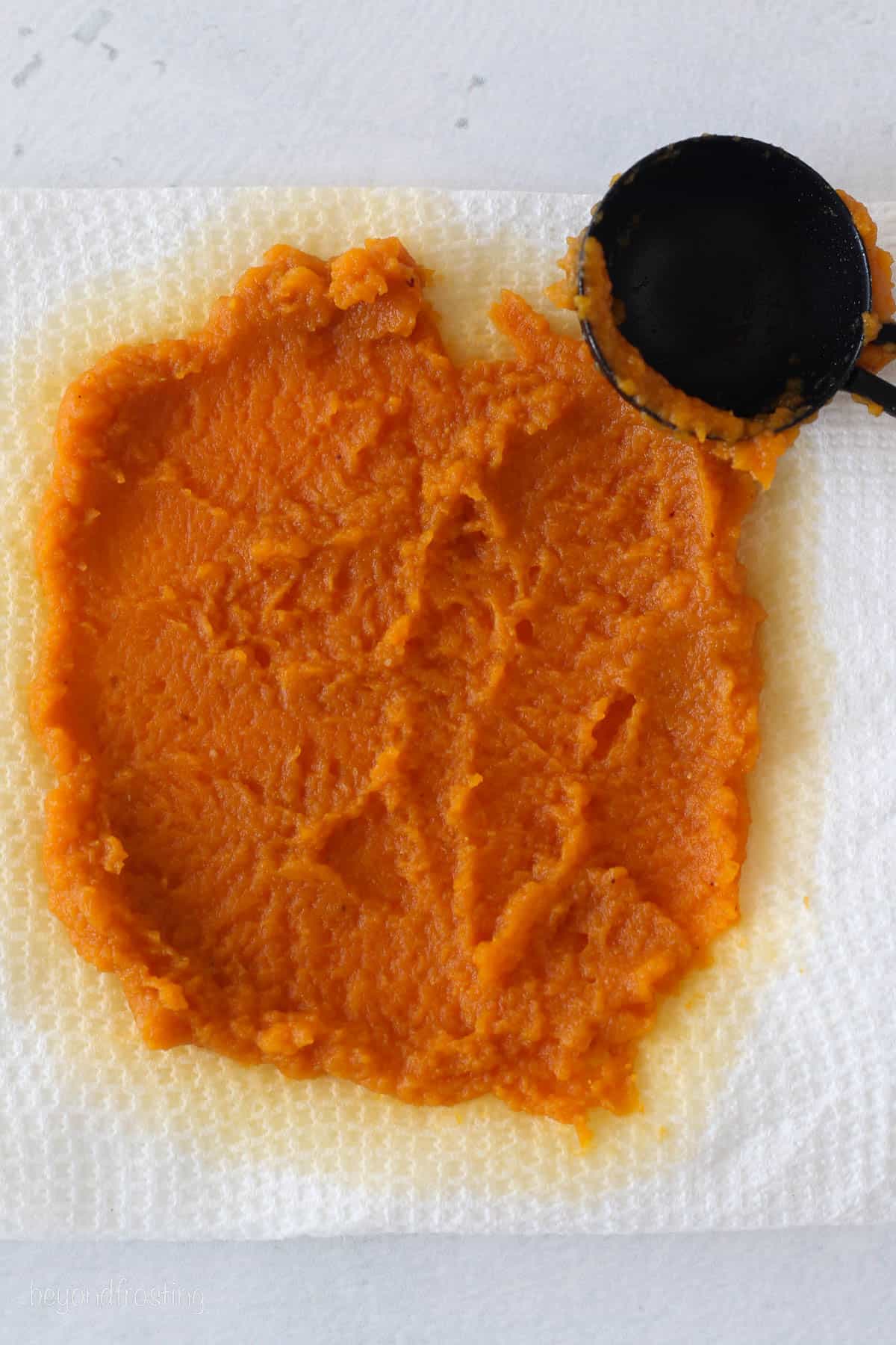 Pumpkin puree spread out over a layer of paper towels to "blot" the excess moisture.