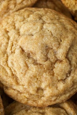 Close up overhead view of pumpkin sugar cookies.