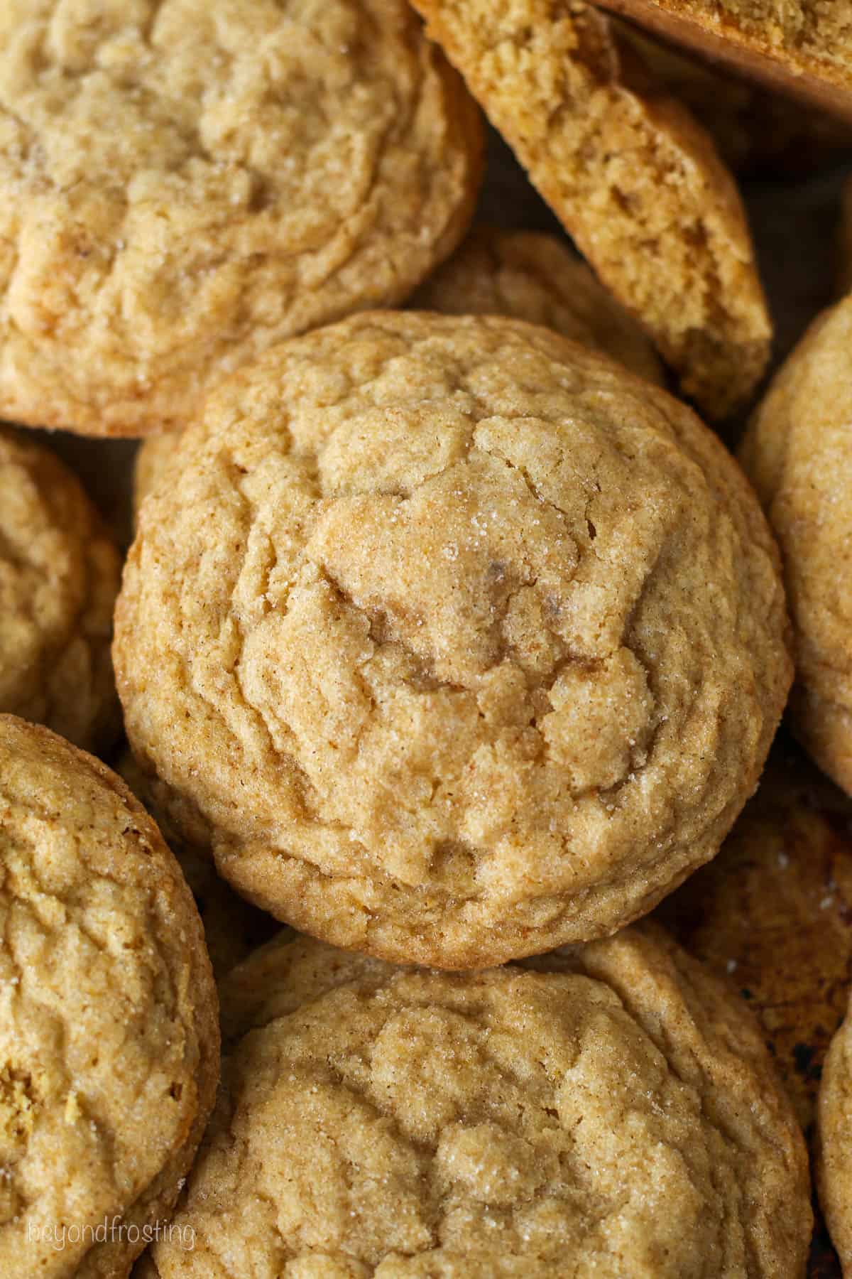 Close up overhead view of pumpkin sugar cookies.