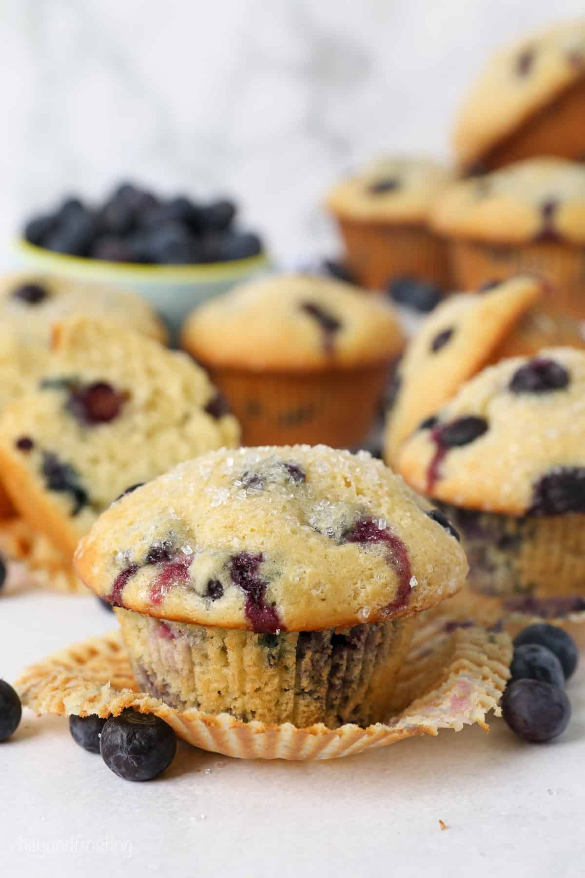 An unwrapped blueberry muffins surrounded by fresh blueberries and more muffins in the background