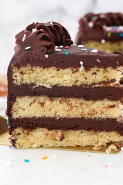 A slice of yellow layer cake with chocolate frosting on a gold spatula