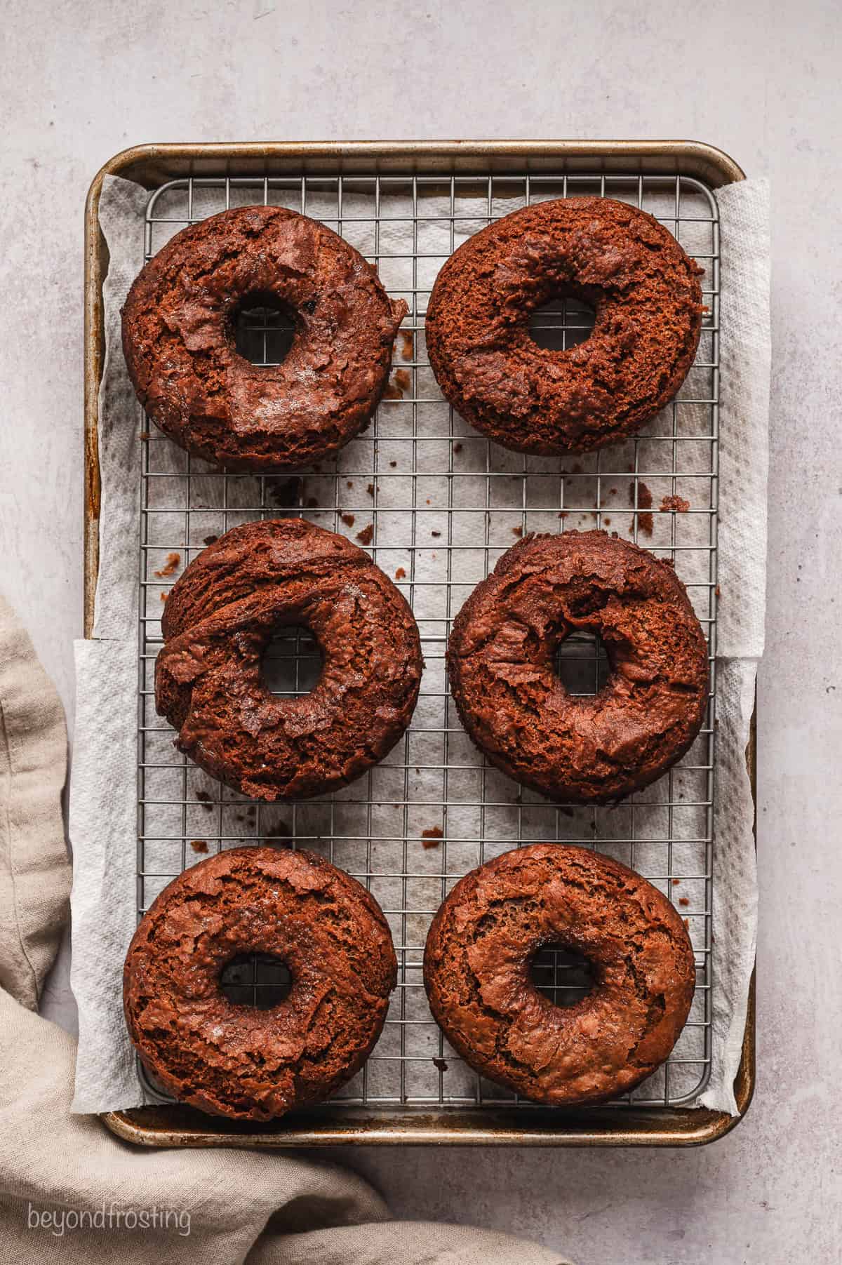 Six deep fried chocolate donuts on a wire rack set over a baking sheet.