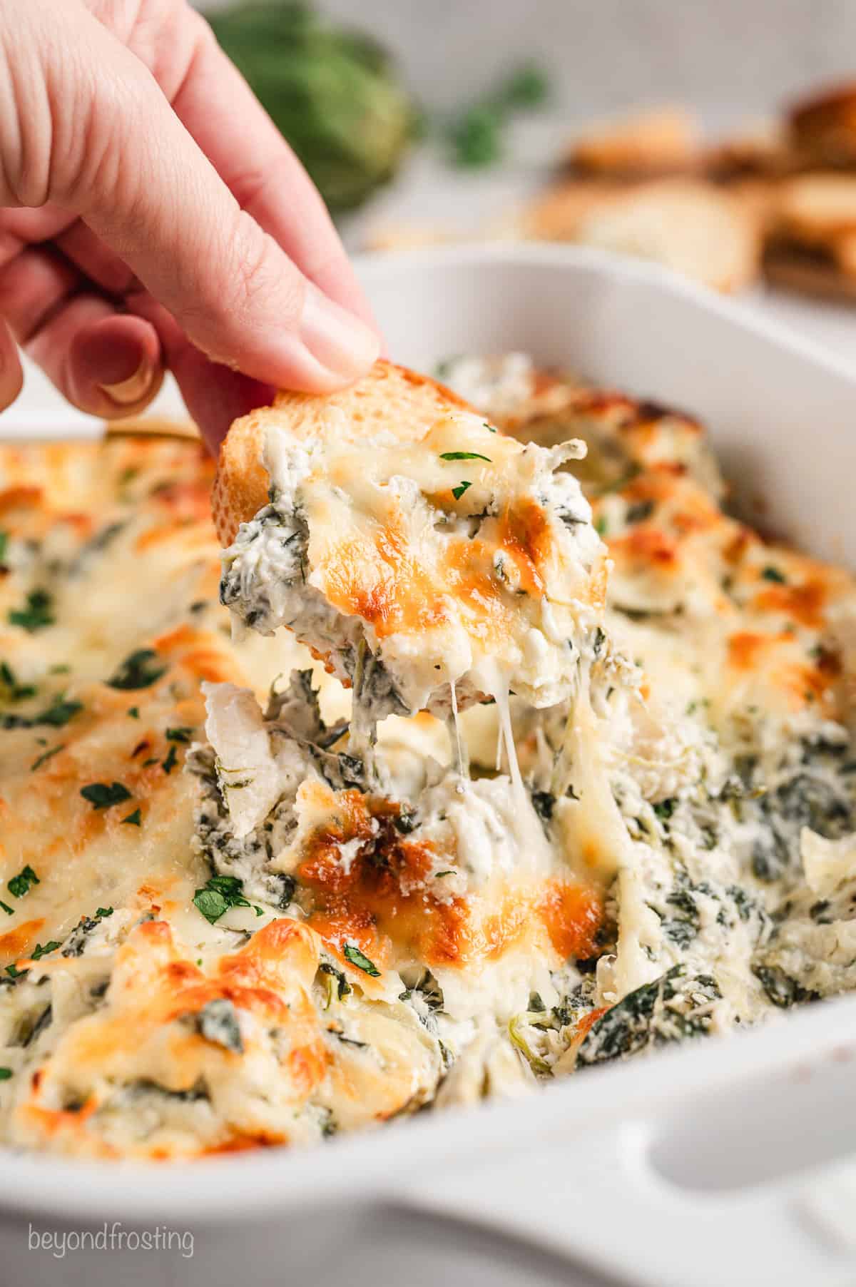 A hand dipping a crostini into melty spinach artichoke dip inside a baking dish.