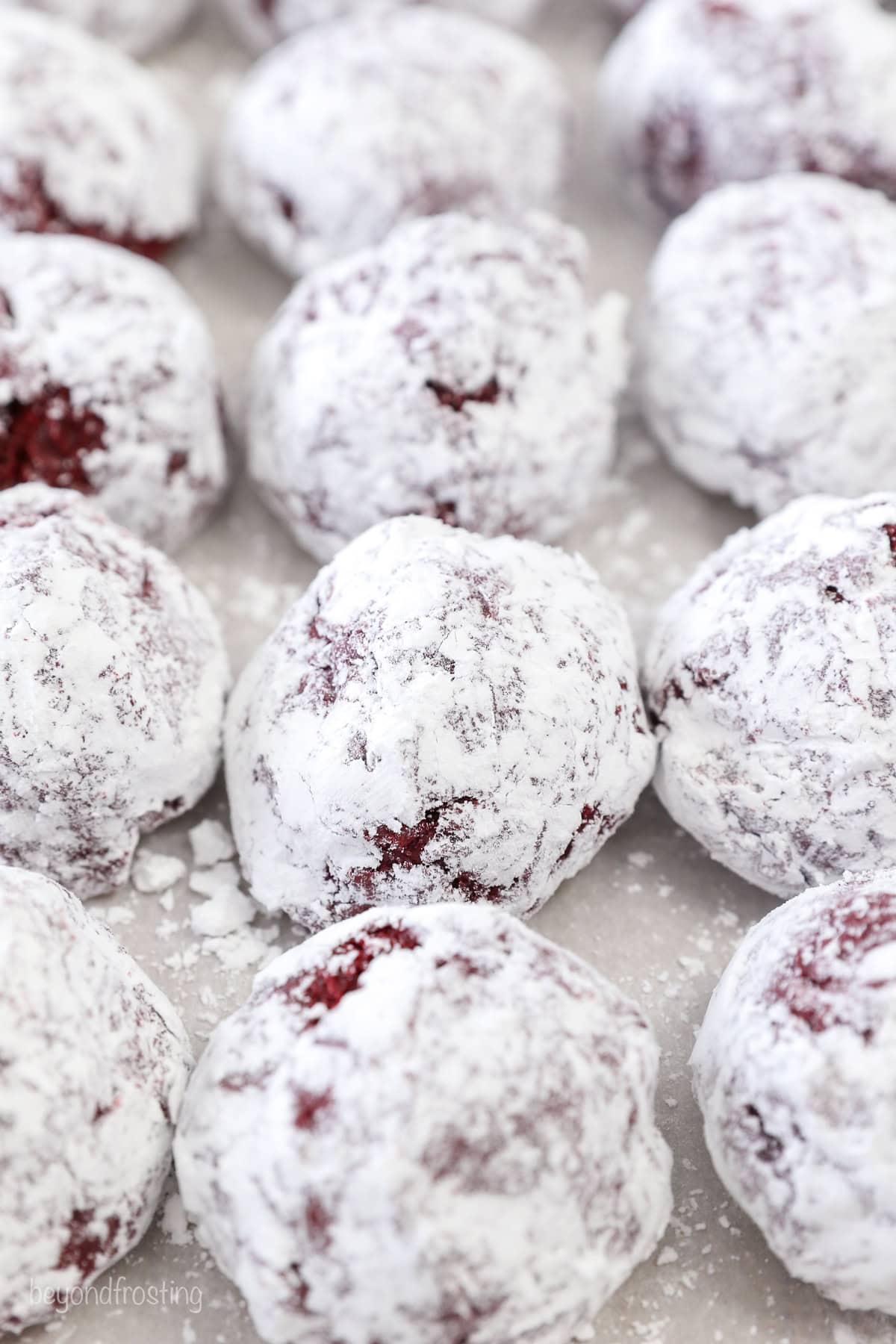 Rows of red velvet cake mix cookie dough balls rolled in powdered sugar.