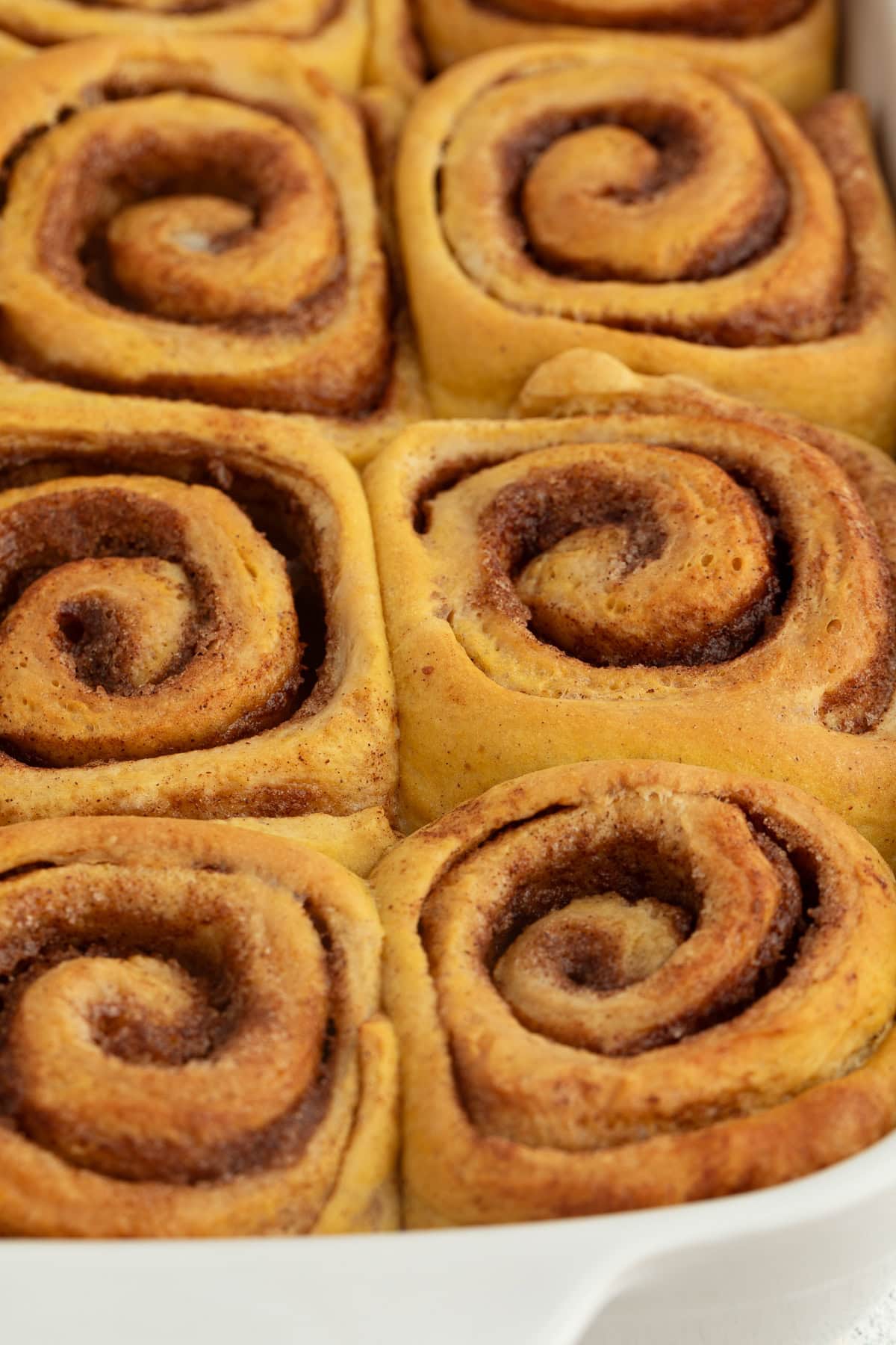 Close up of homemade pumpkin cinnamon rolls in a ceramic baking dish.