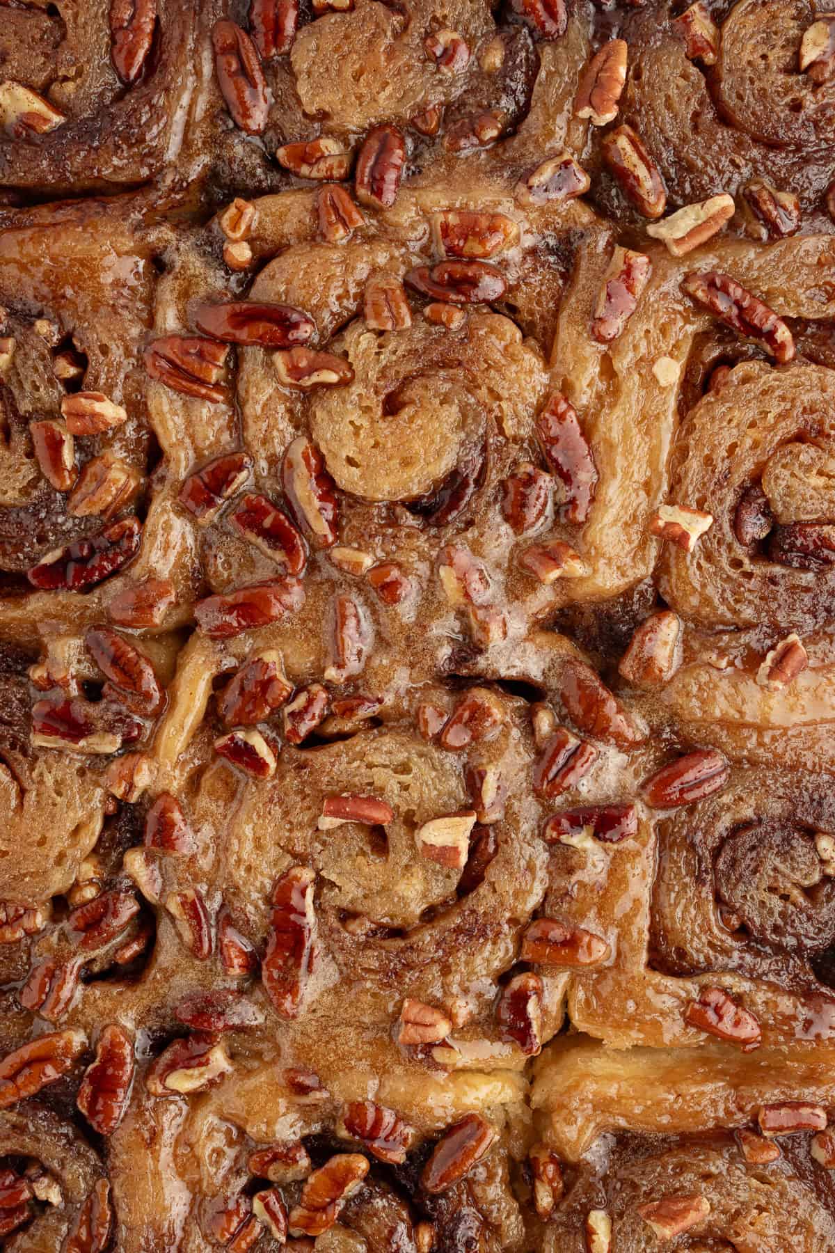 These homemade sticky buns are filled with warm cinnamon and nutty pecans, with a gooey caramel topping. The dough needs just 1 hour to rise! Close up of baked sticky buns with a caramel pecan topping.