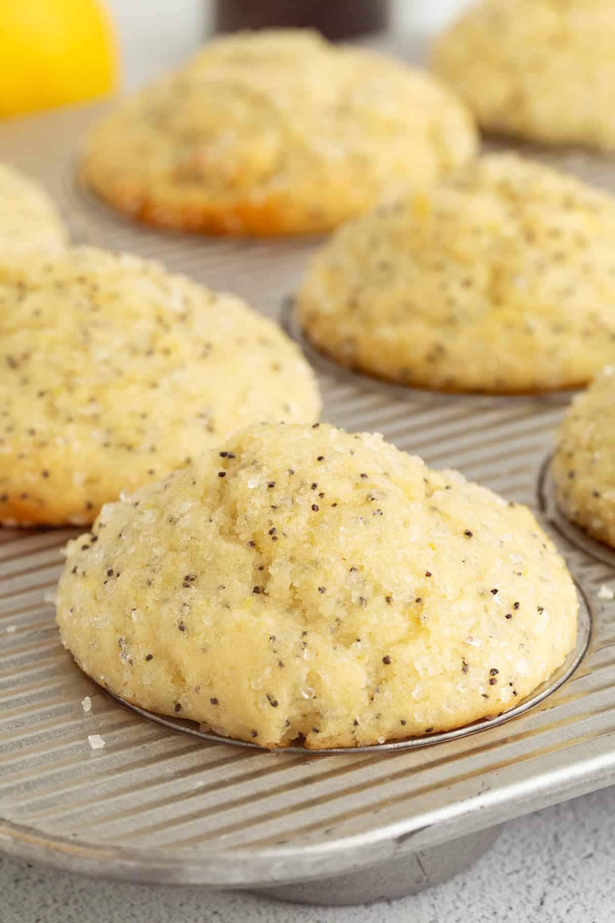 Moist, tangy, and topped with sanding sugar, these bakery-style lemon poppyseed muffins are the perfect breakfast treat. And so easy to make! Close up of lemon poppy seed muffins in a muffin pan.
