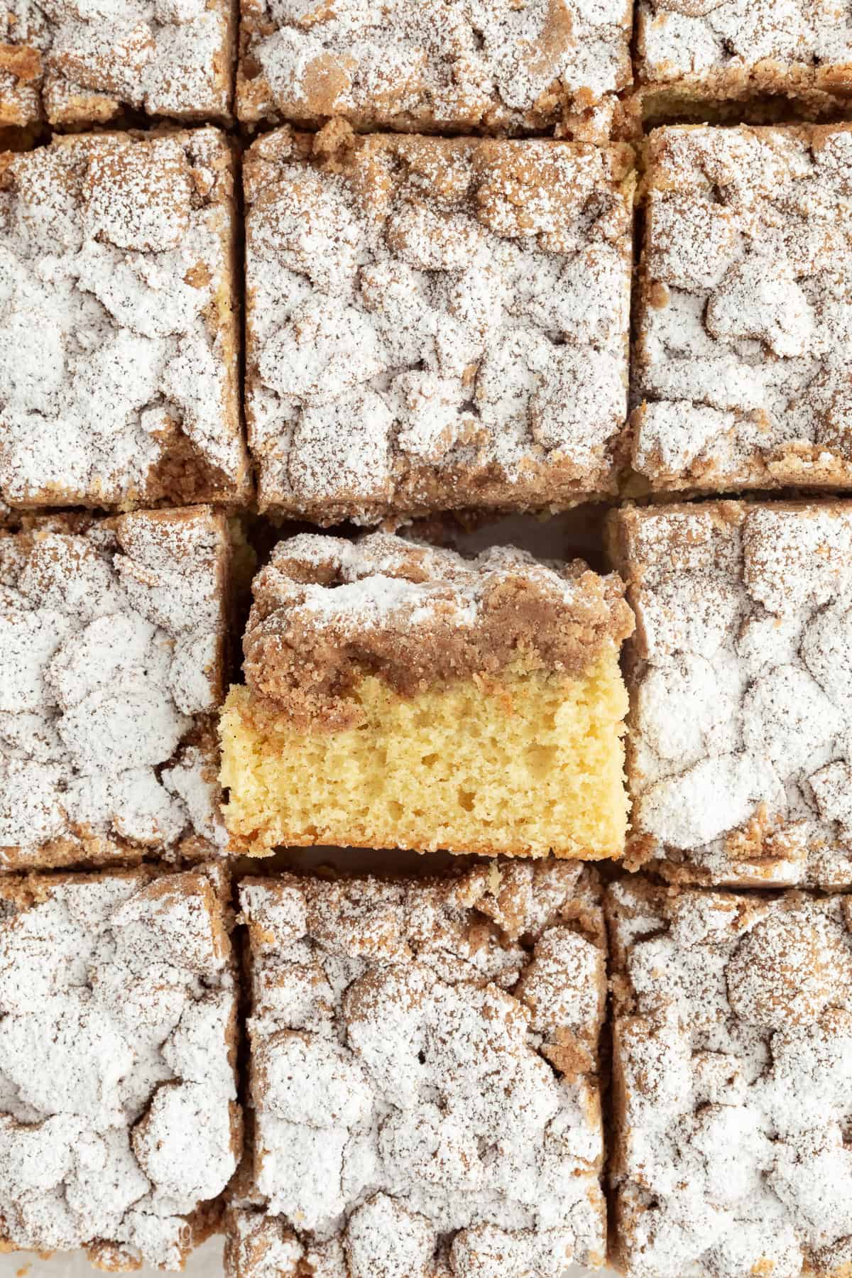 This New York crumb cake is tender and buttery, piled high with a thick brown sugar cinnamon streusel that’s almost as thick as the cake. Overhead view of New York crumb cake slices dusted with powdered sugar.