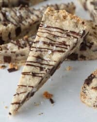 Close up of chocolate chip shortbread.